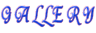 G A L L E R Y